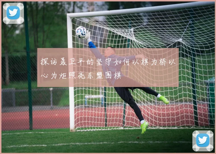 探访聂卫平的坚守如何以棋为桥以心为炬照亮东盟围棋